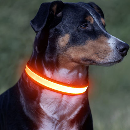 Picture of Vizpet LED Dog Collar, Light Up Dog Collar Adjustable USB Rechargeable Super Bright Safety Light Glowing Collars for Small Dogs(Small,Orange)
