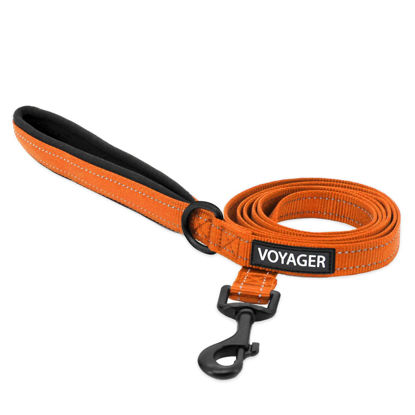 Picture of Voyager Reflective Dog Leash with Neoprene Handle, 5ft Long, Supports Small, Medium, and Large Breed Puppies, Cute and Heavy Duty for Walking, Running, and Training - Orange (Leash), M