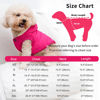 Picture of Vecomfy Fleece Lining Extra Warm Dog Hoodie in Winter for Small Dogs Jacket Puppy Coats with Hooded Pink M