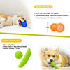 Picture of Aipper Dog Puppy Toys 25 Pack,Puppy Chew Toys for Fun and Teeth Cleaning,Dog Squeak Plush Toys, Squeaky Toy Balls, Tug of War Toys, Puppy Teething Toys, Dog Rope Toys Pack for Puppy to Small Dogs