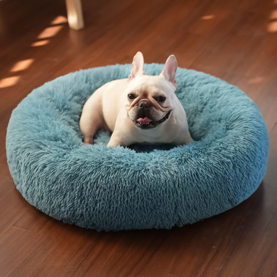 Picture of Blue Dog Bed for Small Dogs Fluffy Anti-Anxiety Dog Bed, Calming Dog Bed for Small Dogs Washble Snuggle Safe and Soft Puppy Bed for Small Dogs,Round Donut Machine Washable Small Pet Bed.