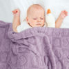 Picture of Plush Soft with Heart Checkered Baby Blanket,Fleece Infant Toddler Blankets for Girls Boys,Warm Lightweight Breathable Newborn Receiving Blankets for Crib Stroller 30"×39"(Purple,Heart)