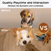 Picture of Nocciola Dog Squeaky Toys, 5 PCS Crinkle Plush Dog Toys, No Stuffing Dog Toys for Small Medium Large Dogs, Stuffless Puppy Toys for Boredom