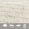 Picture of Tcksstex Waterproof and Anti-Slip Dog Bed Cover and Pet Blanket Sofa Pet Bed Mat ，car Incontinence Mattress Protectors Furniture Couch Cover for Most Cats Dogs, Pets（82x102-Ivory）