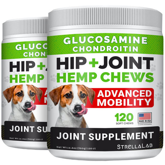 Picture of Large Breed Hemp + Glucosamine Dog Joint Supplement - Hemp Chews for Dogs Hip Joint Pain Relief - Omega 3, Chondroitin, MSM - Advanced Mobility Hemp Oil Treats for Large Dogs - Made in USA - 240 Ct