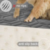 Picture of Tcksstex Waterproof and Non-Slip Dog Bed Cover and Pet Blanket Sofa Pet Bed Mat ，car Incontinence Mattress Protectors Furniture Couch Cover for Most Cats Dogs,Pets（52x82-Dark Grey）