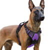 Picture of rabbitgoo Dog Harness for Large, No Pull Pet Harness with 3 Buckles, Adjustable Soft Padded Pooch Vest with Instant Control Handle, Easy Walking Reflective Pet Vest for Extra Large Dogs, Purple, XL