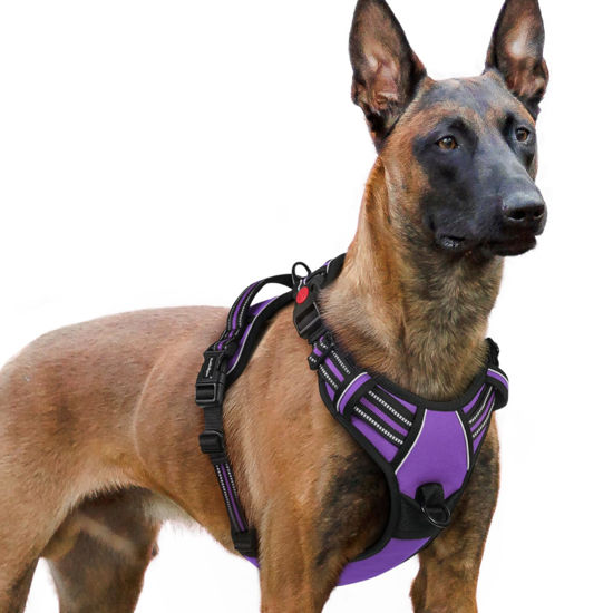 Picture of rabbitgoo Dog Harness for Large, No Pull Pet Harness with 3 Buckles, Adjustable Soft Padded Pooch Vest with Instant Control Handle, Easy Walking Reflective Pet Vest for Extra Large Dogs, Purple, XL