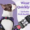 Picture of rabbitgoo Dog Harness for Large, No Pull Pet Harness with 3 Buckles, Adjustable Soft Padded Pooch Vest with Instant Control Handle, Easy Walking Reflective Pet Vest for Extra Large Dogs, Purple, XL