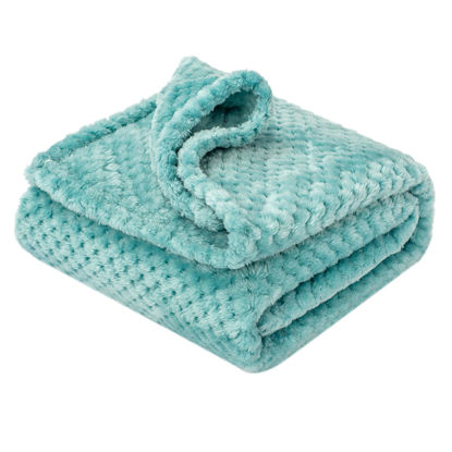 Picture of Fuzzy Blanket or Fluffy Blanket for Baby Girl or boy, Soft Warm Cozy Coral Fleece Toddler, Infant or Newborn Receiving Blanket for Crib, Stroller, Travel, Decorative (40Wx60L, M-Blue Bell)