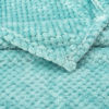 Picture of Fuzzy Blanket or Fluffy Blanket for Baby Girl or boy, Soft Warm Cozy Coral Fleece Toddler, Infant or Newborn Receiving Blanket for Crib, Stroller, Travel, Decorative (40Wx60L, M-Blue Bell)