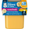 Picture of Gerber 2nd Foods Fruits Banana & Orange Medley Pureed Baby Food, 4 Ounce Tubs, 2 Count (Pack of 8)