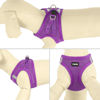 Picture of YIMEIS Dog Harness and Leash Set, No Pull Soft Mesh Pet Harness, Reflective Adjustable Puppy Vest for Small Medium Large Dogs, Cats (Purple, X-Small (Pack of 1)