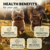 Picture of Billion Pets - Hemp Oil for Dogs and Cats - Helps with Anxiety, Pain, Stress, Sleep, Arthritis, Seizures Relief - Hip and Joint Support - Calming Drops