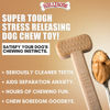 Picture of Bullibone Nylon Dog Chew Toy Nylon Bone - Improves Dental Hygiene, Easy to Grip Bottom, and Permeated with Flavor (Peanut Butter, Small - Single)