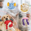 Picture of LECHONG 5 Pack Tough Dog Toys Stuffed Squeaky Dog Toys Assortment Plush Animal Dog Toy Value Bundle Puppy Pet Dog Toys for Small Medium Large Dogs