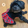 Picture of KYEESE Dog Sweaters for Small Dogs Girl Comfy Dog Sweater Small Dog Sweater Soft with Bowtie Buffalo Check Dog Coats Turtleneck Dog Clothes Pullover Knitwear Dog Sweater Dress Puppy Sweater