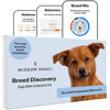 Picture of Wisdom Panel Breed Discovery Dog DNA Kit: Most Accurate Dog Breed Identification, Test for 365+ Breeds, MDR1 Health Test, Ancestry, Relatives