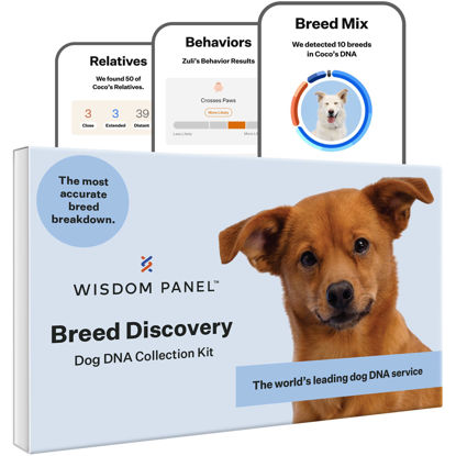 Picture of Wisdom Panel Breed Discovery Dog DNA Kit: Most Accurate Dog Breed Identification, Test for 365+ Breeds, MDR1 Health Test, Ancestry, Relatives