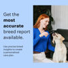 Picture of Wisdom Panel Breed Discovery Dog DNA Kit: Most Accurate Dog Breed Identification, Test for 365+ Breeds, MDR1 Health Test, Ancestry, Relatives