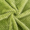 Picture of Fuzzy Blanket or Fluffy Blanket for Baby, Soft Warm Cozy Coral Fleece Toddler, Infant or Newborn Receiving Blanket for Crib, Stroller, Travel, Decorative (28Wx40L, XS-Avocado)