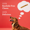 Picture of DreamBone DreamSticks with Real Bacon and Cheese Flavor, Rawhide Free Dog Chew Sticks 15 Sticks