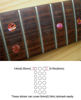 Picture of Inlay Sticker Fret Markers for Guitars & Bass - Custom Dots - Abalone Red