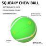 Picture of Playology Squeaky Chew Ball for Dogs | Engaging All-Natural Sweet Potato Scented Dog Toy for Medium Dogs up to 50lbs | Squeak, Fetch, and Play!