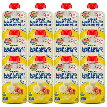 Picture of Earth's Best Organic Baby Food Pouches, Fruit and Grain Puree for Babies 6 Months and Older, Organic Banana Raspberry and Whole Grain Barley Puree, 3.5 oz Pouch (Pack of 12) (Packaging May Vary)