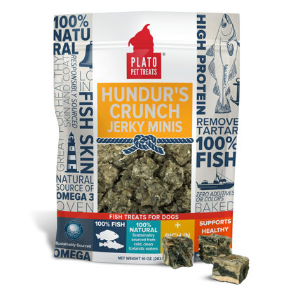 Picture of PLATO Hundur's Crunch Jerky Minis 10oz, Natural (859554001397)
