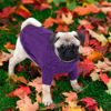Picture of Queenmore Dog Sweater for Large Size Dog,Pitbull Dog Sweater,XXL Dog Sweater for Labrador Retriever,Cold Weather Warm Knitted Pet Sweatershirt for Boy Girl Dogs (Purple,2XL)