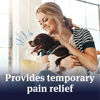 Picture of PetArmor Aspirin for Small Dogs, Fast Acting Anti-Inflammatory and Pain Relief For Dogs, Vet-Quality Joint Support and Pain Meds for Dogs, 75 Liver Flavored Tablets