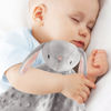 Picture of Pro Goleem Loveys for Babies - Soft Security Blanket Baby Snuggle Toy Newborn Stuffed Animals Baby Gifts for Boys and Girls, Grey Bunny 16 Inch
