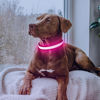 Picture of Flashseen LED Dog Collar, USB Rechargeable Light Up Dog Collar Lights, Adjustable Comfortable Soft Mesh Safety Dog Collar for Small, Medium, Large Dogs(Medium, Candy Pink)