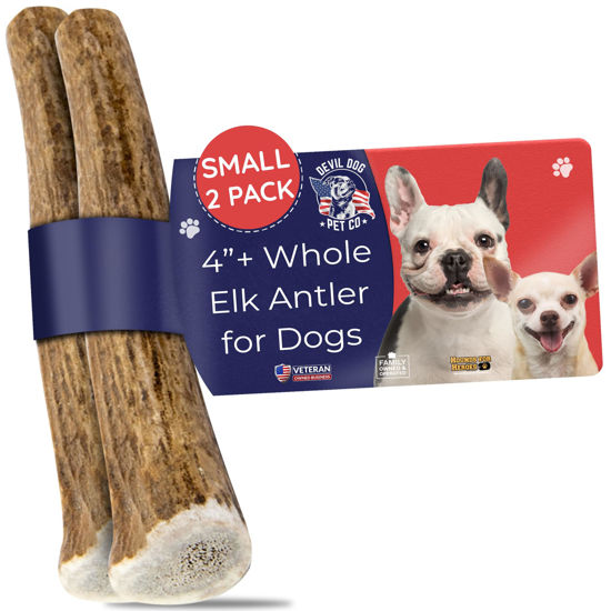 Picture of Devil Dog Pet Co. Elk Antlers for Dogs, 2 Pack, Small 4”+, Grade A Long Lasting Dog Bones for Aggressive Chewers, Premium USA Naturally Shed Antler Dog Chew - Healthy, No Odor, Dog Antler Chews