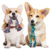 Picture of 2 Pack Dog Rope Toy for Small Dogs, Puppy Teething Toys, Durable Cotton Puppy Chew Toys for Teething, Small Dog Toys for Aggressive Chewers, Interactive Tug of War Dog Toy for Puppies Boredom