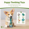 Picture of 2 Pack Dog Rope Toy for Small Dogs, Puppy Teething Toys, Durable Cotton Puppy Chew Toys for Teething, Small Dog Toys for Aggressive Chewers, Interactive Tug of War Dog Toy for Puppies Boredom