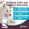 Picture of K9 Select Melatonin for Dogs - Calming Chews - Anxiety Relief Treats for Sleep, Stress, Thunderstorms & Fireworks - Calming Chews for Dogs Anxiety Small & Large Breed, 6 mg, 120 Peanut Butter Tablets