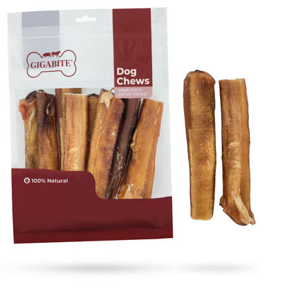 Picture of Best Pet Supplies GigaBite 6 Inch Monstrous Bully Sticks (8 Pack) - All Natural, Free Range Beef Pizzle Dog Treat