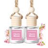 Picture of Burst Bird Car Air Freshener Hanging, Cherry Bloom Fragrance Oil Air Diffuser for Car, Long Lasting Car Air Fresheners, Made in USA (2 Pack)