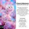Picture of Burst Bird Car Air Freshener Hanging, Cherry Bloom Fragrance Oil Air Diffuser for Car, Long Lasting Car Air Fresheners, Made in USA (2 Pack)
