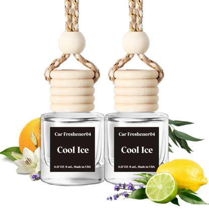 Picture of Burst Bird Car Air Freshener Hanging, Cool Ice Fragrance Oil Air Diffuser for Car, Long Lasting Car Air Fresheners, Made in USA (2 Pack)