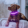 Picture of Flashseen LED Dog Collar, Light Up Dog Collar Light USB Rechargeable, Adjustable Comfortable Soft Mesh Safety Dog Collar for Small, Medium, Large Dogs(Large, Purple)