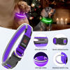 Picture of Flashseen LED Dog Collar, Light Up Dog Collar Light USB Rechargeable, Adjustable Comfortable Soft Mesh Safety Dog Collar for Small, Medium, Large Dogs(Large, Purple)