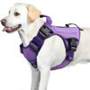 Picture of WINGOIN Purple Harness with Handle Tactical Dog Harness for Large Dogs No Pull Adjustable Reflective K9 Military Dog Vest Harnesses for Walking, Hiking, Training(XL)
