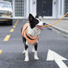 Picture of JoyDaog Dog Jacket with Harness,Fleece Lined Warm Puppy Coat for Winter,Soft Windproof Medium Dog Vest,LightOrange XL