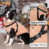 Picture of JoyDaog Dog Jacket with Harness,Fleece Lined Warm Puppy Coat for Winter,Soft Windproof Medium Dog Vest,LightOrange XL