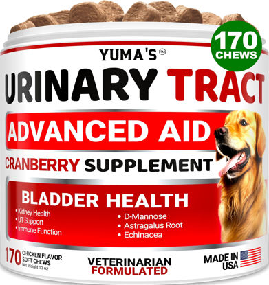 Picture of Dog UTI Treatment - 170 Treats - Cranberry Supplement for Dogs - Bladder Control - Urinary Tract Infection Treatment - UTI Medicine Multivitamin - Vitamins and Supplements - Made in USA