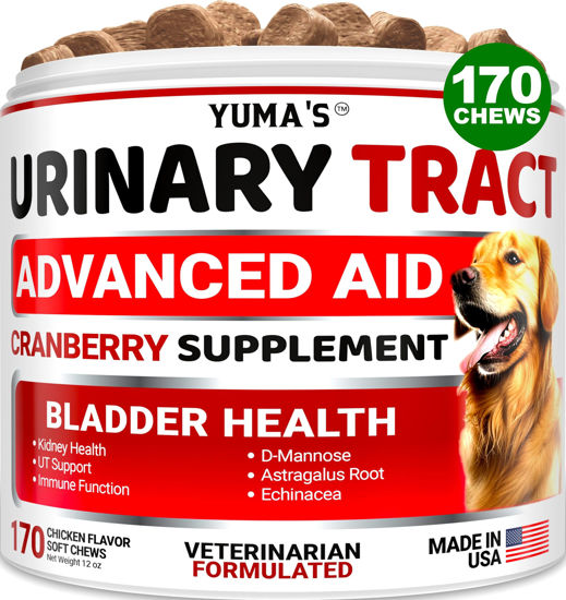 Picture of Dog UTI Treatment - 170 Treats - Cranberry Supplement for Dogs - Bladder Control - Urinary Tract Infection Treatment - UTI Medicine Multivitamin - Vitamins and Supplements - Made in USA