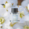 Picture of Ceeniu Car Air Fresheners - F26/F39 Dedicated Perfume Refill - 45ml - Can be Used for 2~6 Months - Made with Natural Plant Extracts - French Imported Fragrance - 17 Varied Scents Available